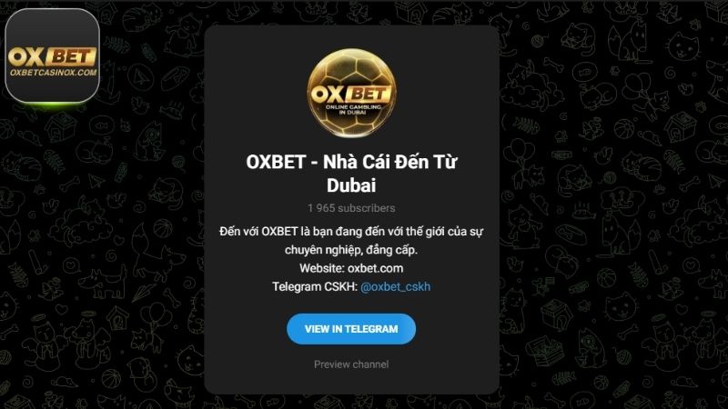 Bạn có thể dễ dàng nhận được sự hỗ trợ từ đội CSKH