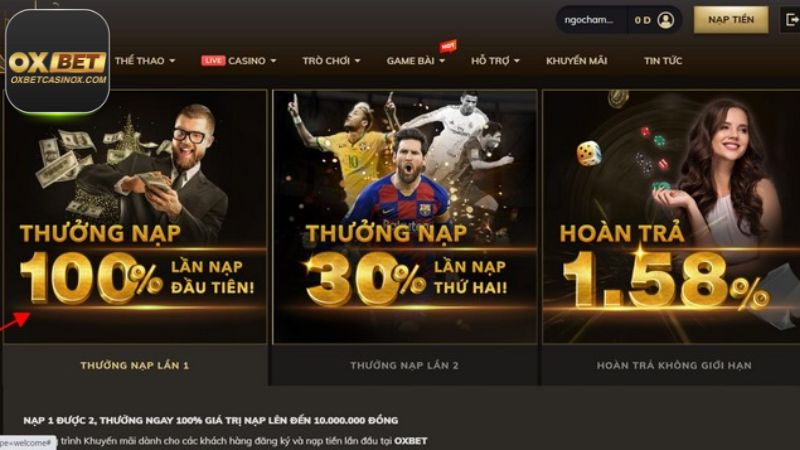 Bỏ túi ngay một số chương trình khuyến mãi OXBET chất phát ngất.
