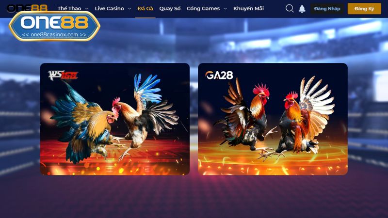 Vấn đề quan trọng trong quá trình đăng ký One88 cần biết